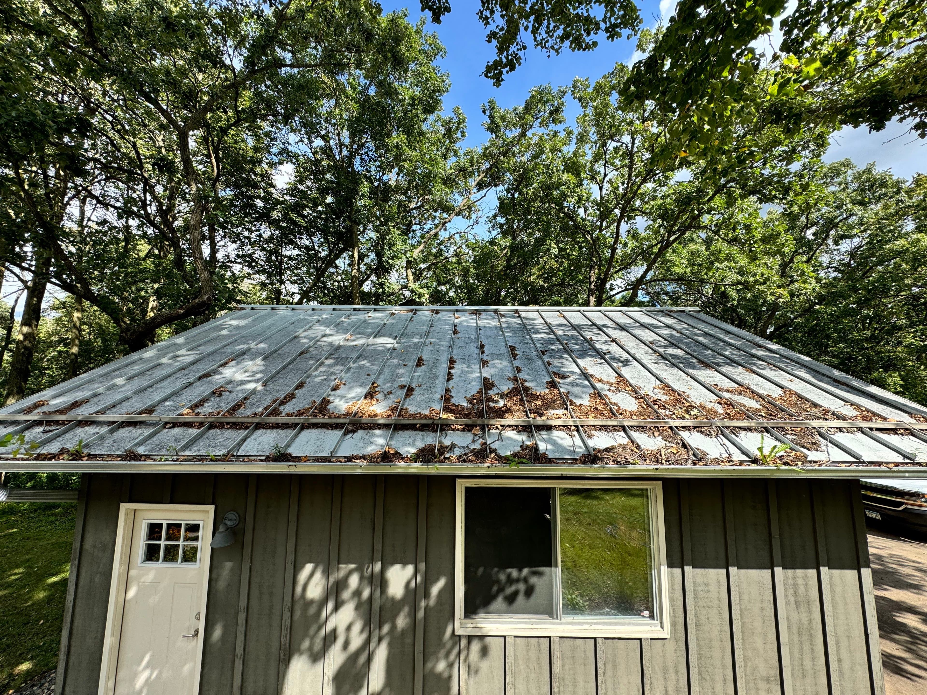 weathered metal roof covered in leaves beside a gray wooden house under a clear sky