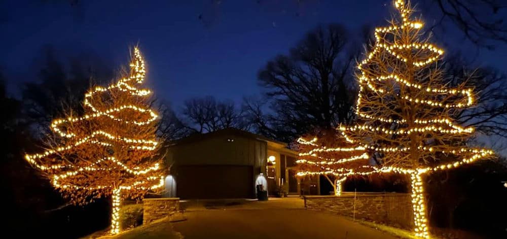 Enchanting Tree Lighting Display Brightens Cottage Grove MN image