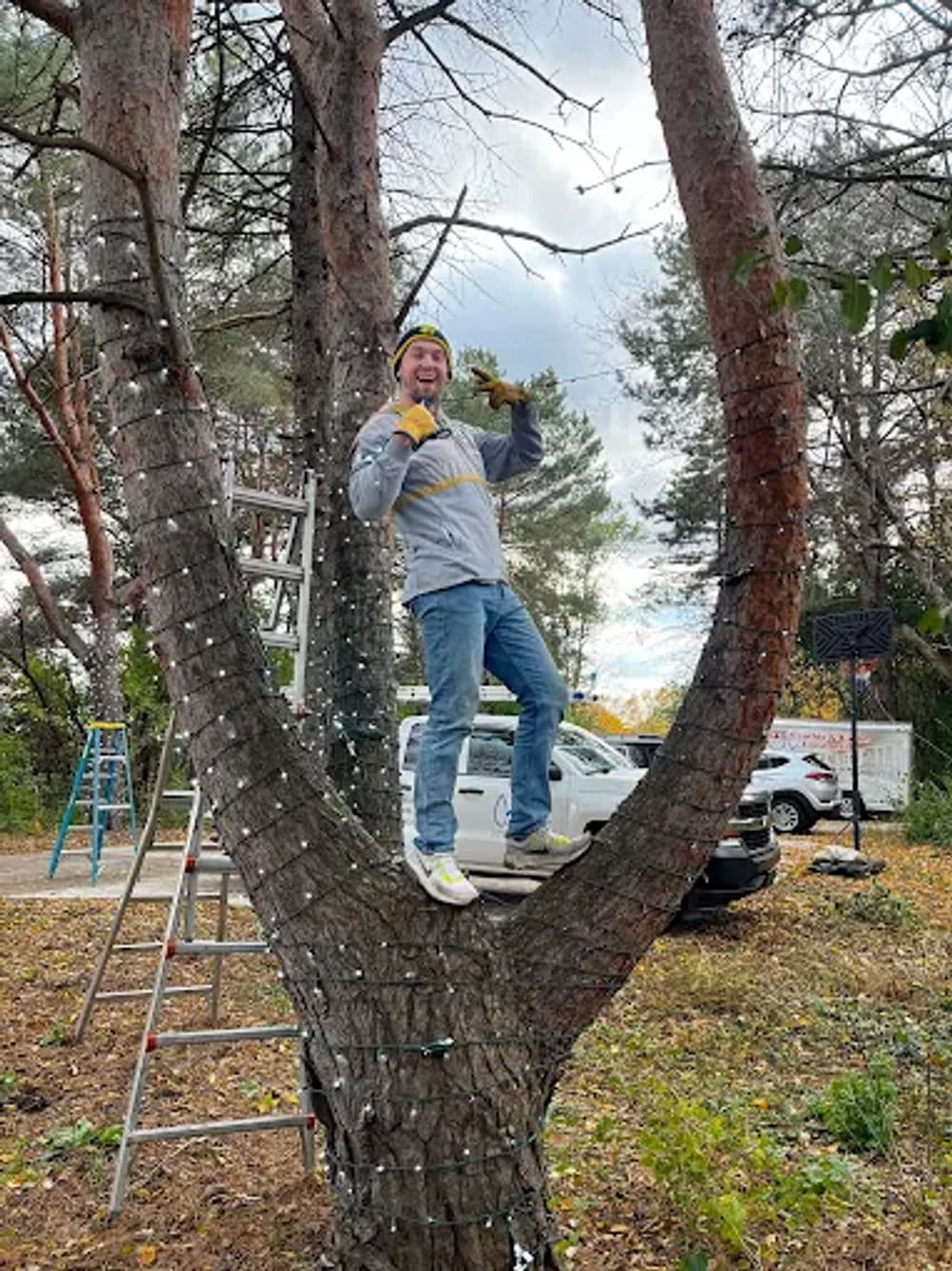 Lighting Up Eagan with Stunning Tree Wraps image