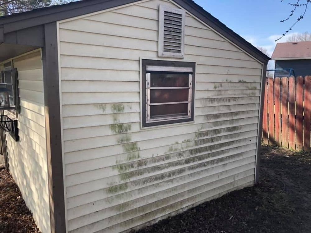 Exterior view of a weathered shed with noticeable mold on the side, surrounded by a yard.