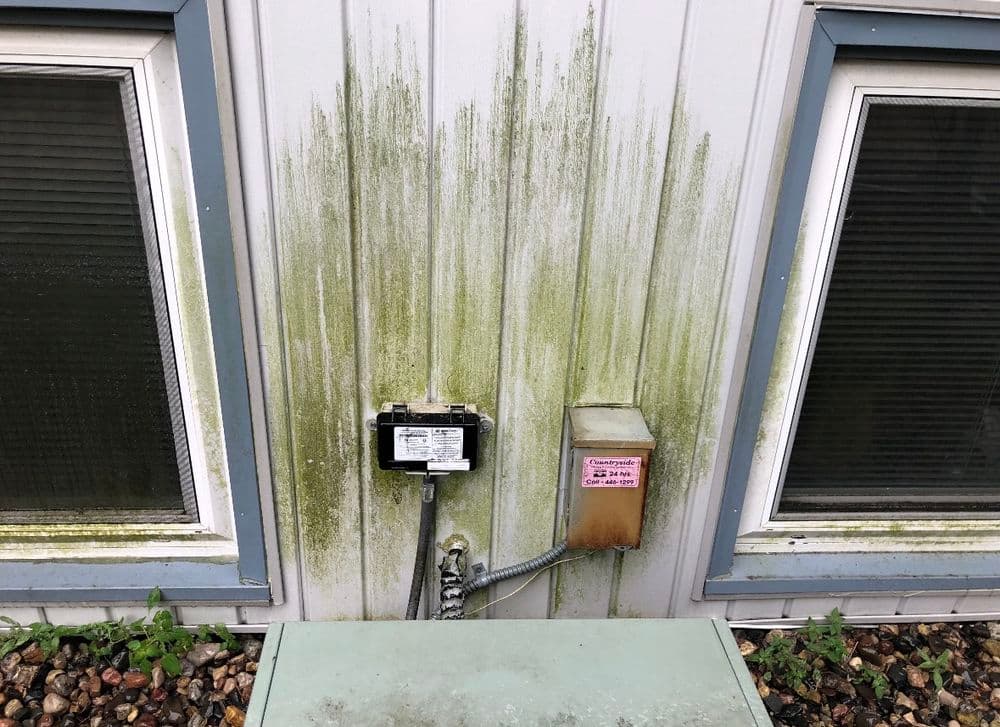 Mold growth on exterior wall near electrical meter and cable connections.